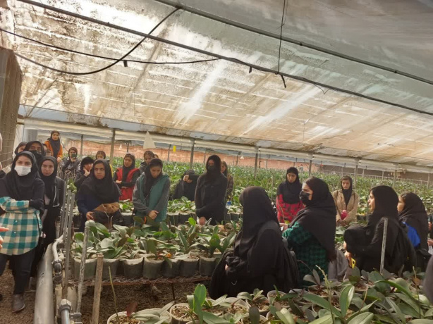 توسعه زیرساخت‌های گردشگری گل و گیاه در پاکدشت